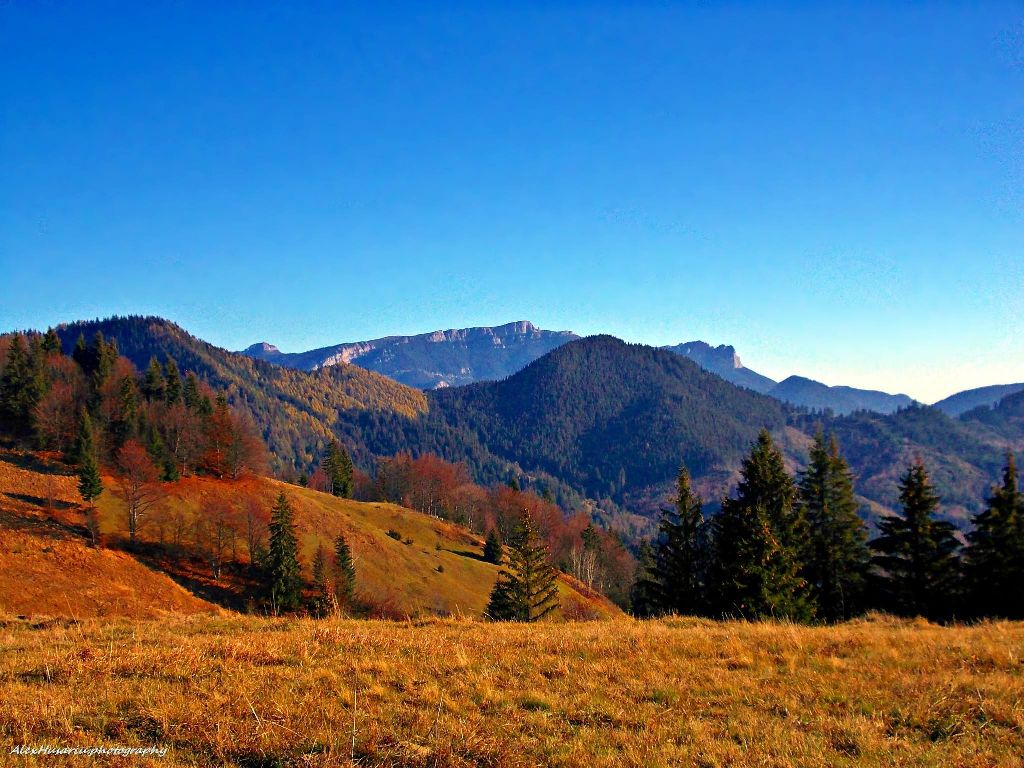Carpathians in Autumn